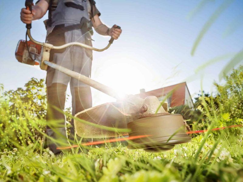 Person using string trimmer on sunny day.